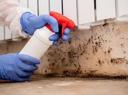 Best Emergency Mold Remediation  in Bucyrus, OH